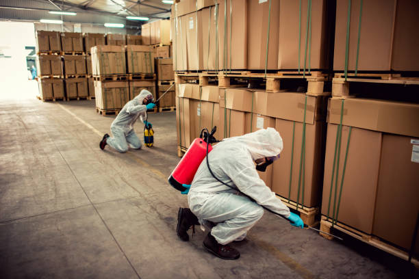 Best Rat Extermination Near Me  in Newark, OH