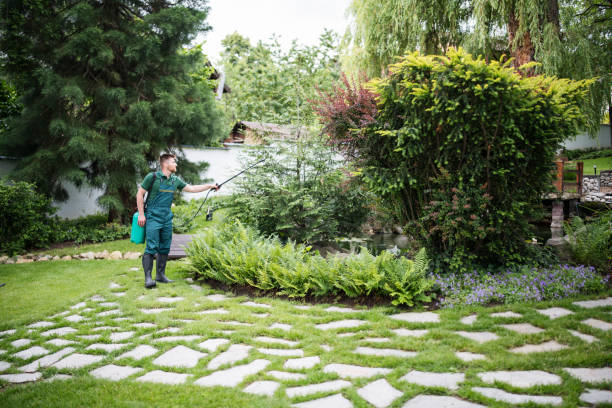 Best Pest Control Near Me  in Newark, OH
