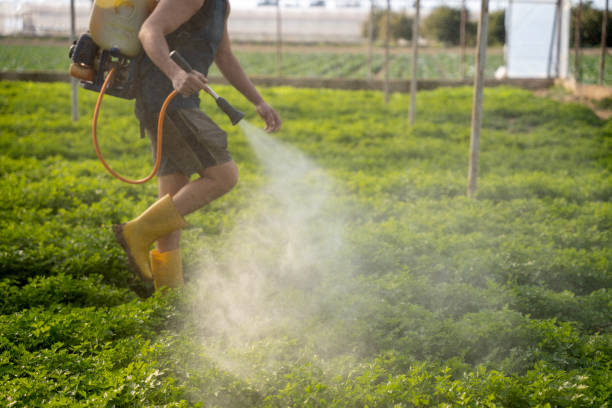 Best Ant Control Services  in Newark, OH