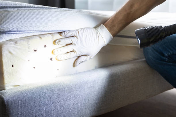 Professional Pest Control in Newark, OH