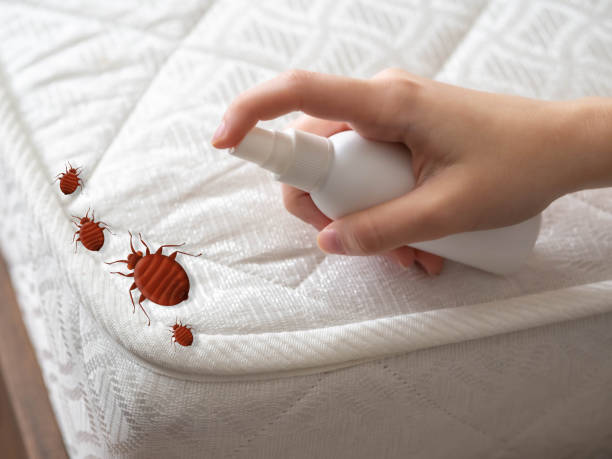 Trusted Newark, OH Pest Control Experts