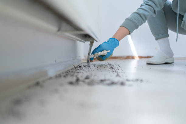 Best Local Pest Control Services  in Newark, OH