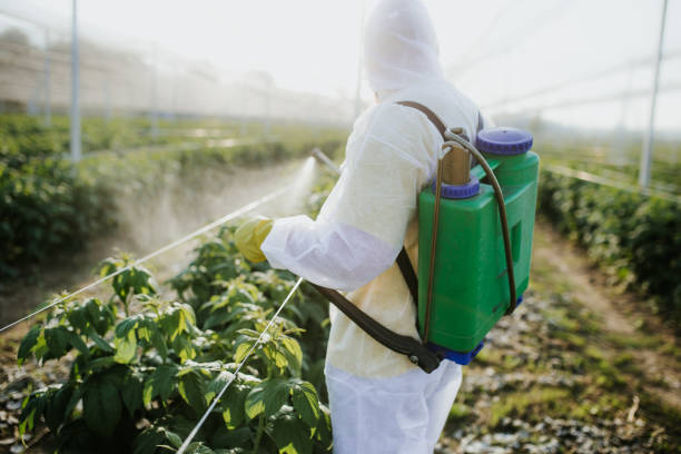 Best Affordable Pest Control Services  in Newark, OH